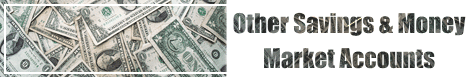 Other Savings and Money Market Accounts